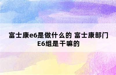 富士康e6是做什么的 富士康部门E6组是干嘛的